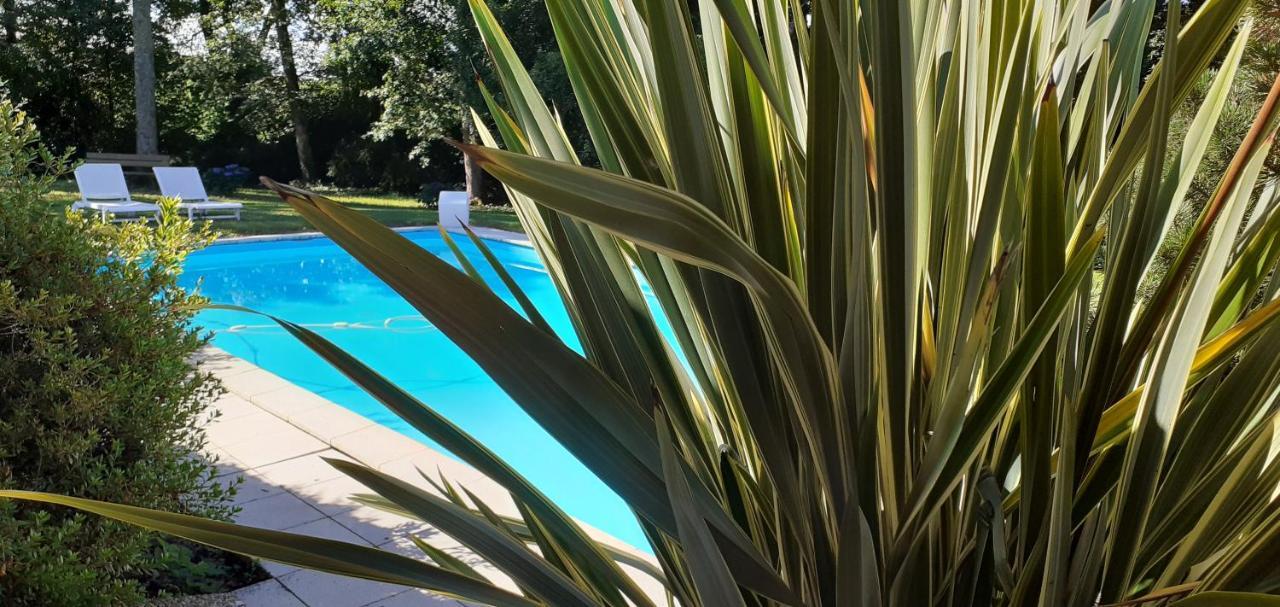 Bed and Breakfast Les Barrerres Hontanx Exterior foto